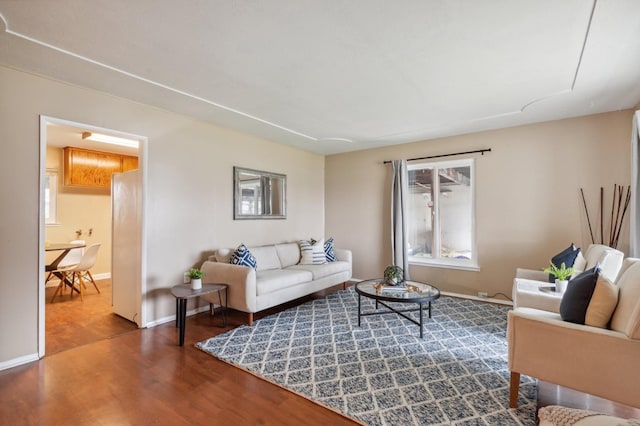 living room with wood-type flooring