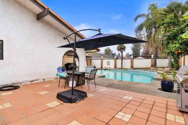 view of pool featuring a patio area