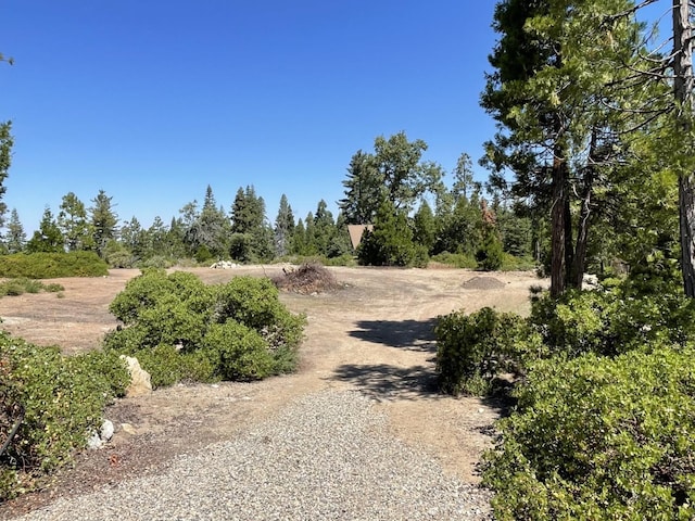 Listing photo 3 for 14 Fawn Lilly Ln, Shaver Lake CA 93664