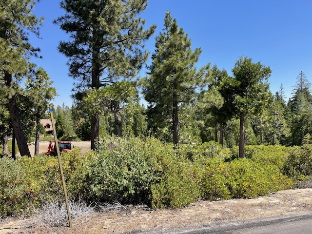 Listing photo 2 for 14 Fawn Lilly Ln, Shaver Lake CA 93664