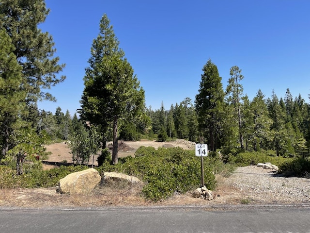 14 Fawn Lilly Ln, Shaver Lake CA, 93664 land for sale