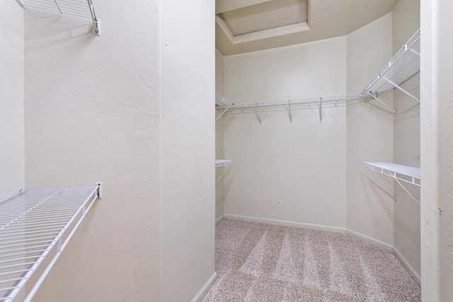 spacious closet with carpet flooring