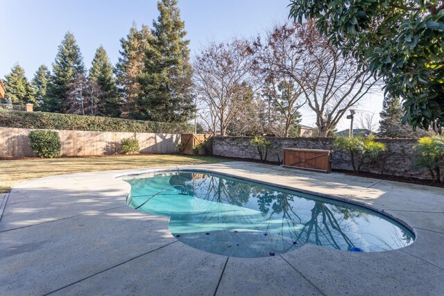 view of pool featuring a patio area