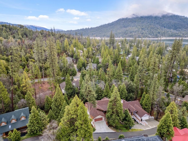 bird's eye view featuring a mountain view