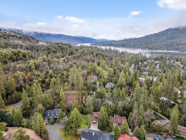 aerial view with a water and mountain view