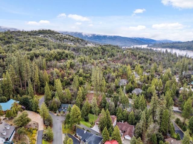 bird's eye view with a mountain view