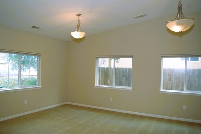 carpeted spare room with plenty of natural light