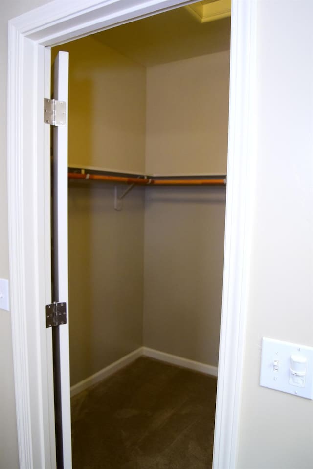 spacious closet with dark carpet