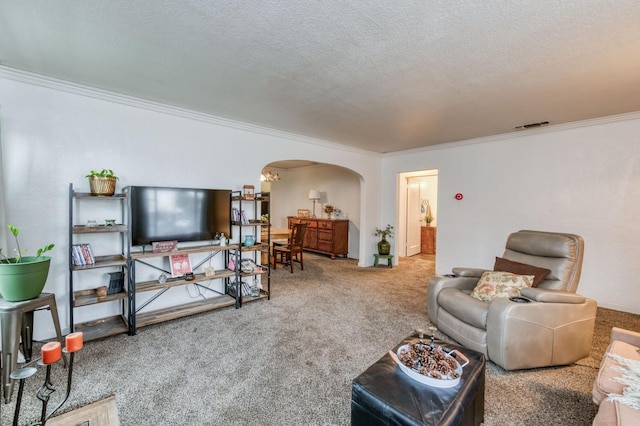 living room featuring a textured ceiling, carpet flooring, and ornamental molding