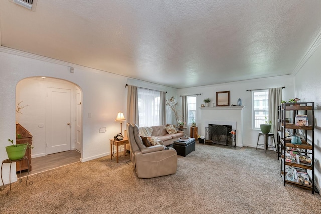 living room with carpet floors, a textured ceiling, and ornamental molding