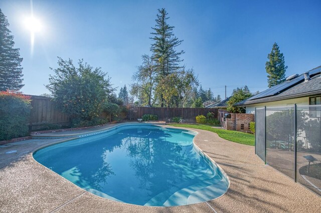 view of pool featuring a patio