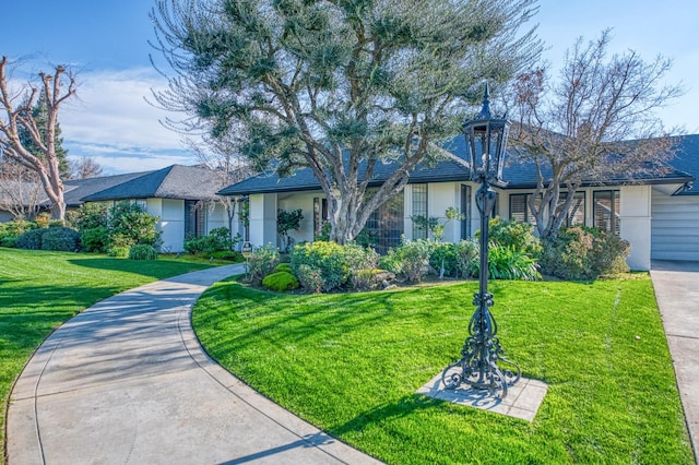 ranch-style house with a front lawn