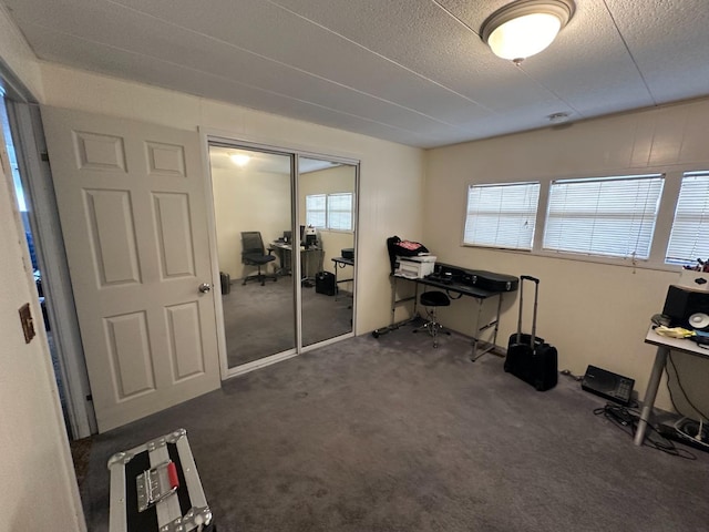 interior space featuring dark colored carpet