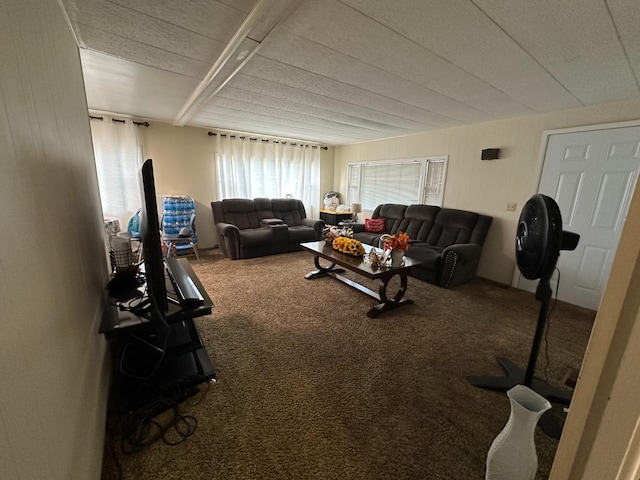 living room featuring carpet