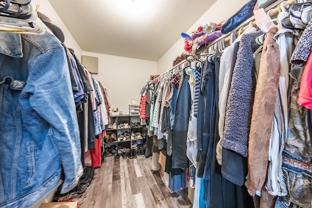 spacious closet featuring wood-type flooring