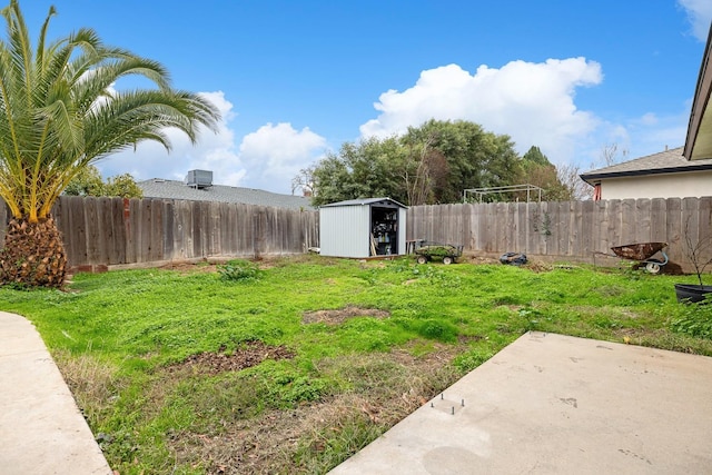 view of yard featuring a patio and a storage unit