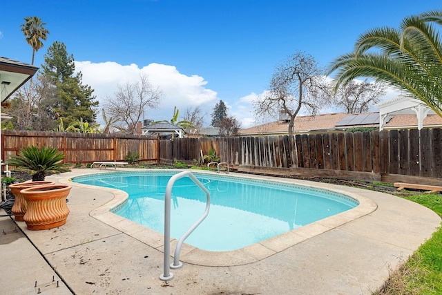 view of swimming pool featuring a patio area and a diving board