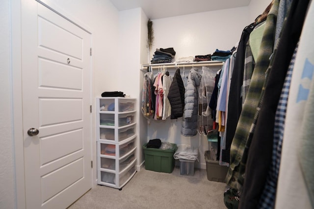 spacious closet featuring light colored carpet