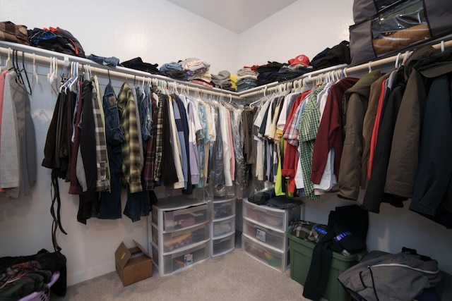 walk in closet featuring carpet floors