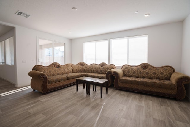 living room with hardwood / wood-style flooring