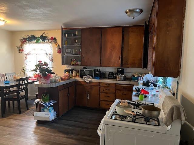 kitchen with dark hardwood / wood-style floors, backsplash, and gas range gas stove