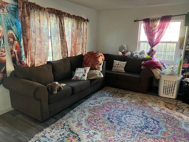 living room featuring hardwood / wood-style flooring