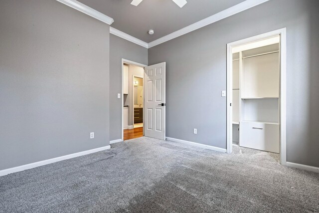 unfurnished bedroom with ornamental molding, a walk in closet, carpet flooring, and ceiling fan