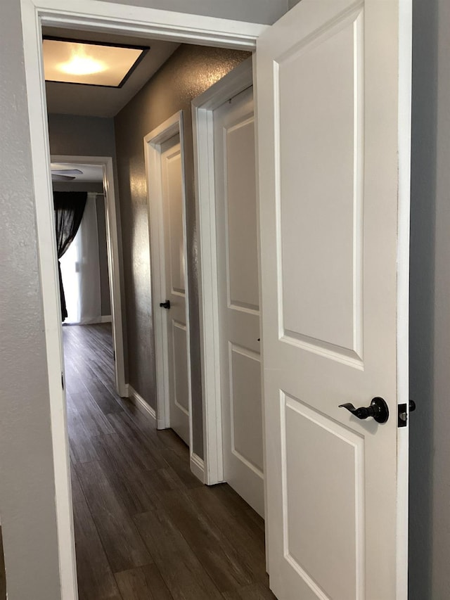 hall featuring dark wood-type flooring