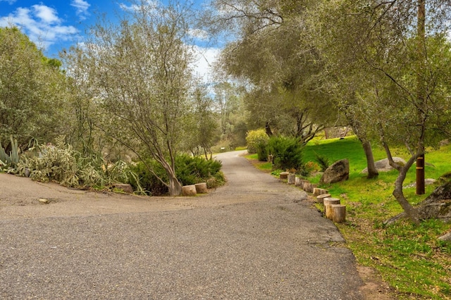 41925 Longhollow Dr, Coarsegold, CA 93614 - view of road