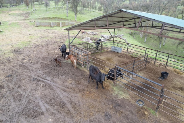 view of stable featuring a rural view