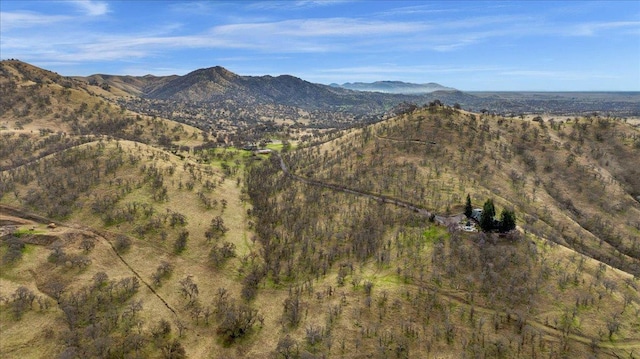 view of mountain feature