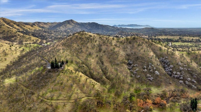 view of mountain feature