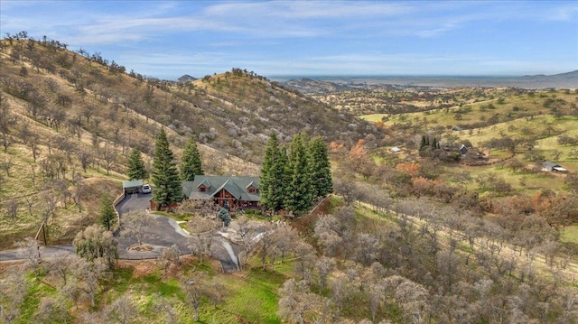 drone / aerial view featuring a mountain view