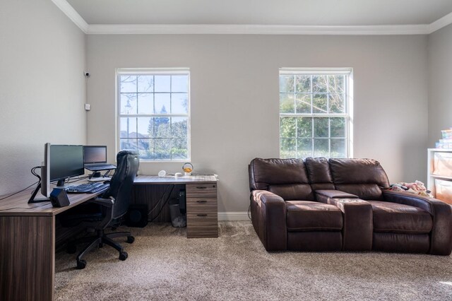 carpeted office space featuring ornamental molding