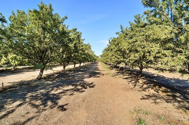 view of street featuring a rural view