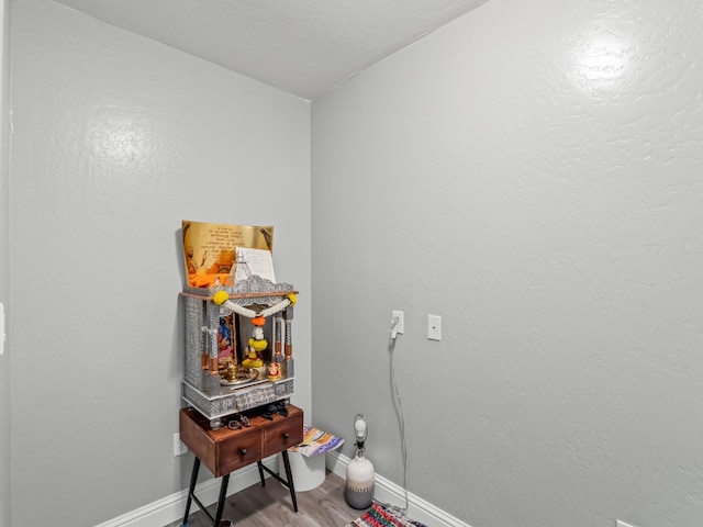 miscellaneous room featuring hardwood / wood-style flooring