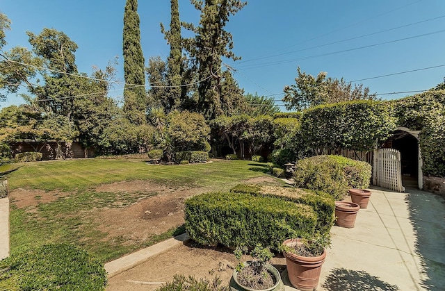 view of yard with a patio