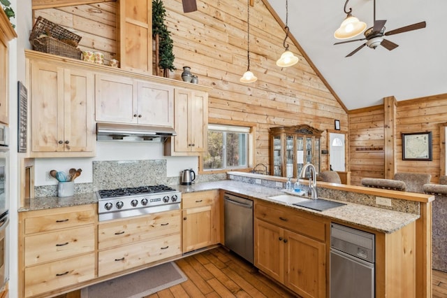 kitchen with kitchen peninsula, light hardwood / wood-style floors, hanging light fixtures, and appliances with stainless steel finishes