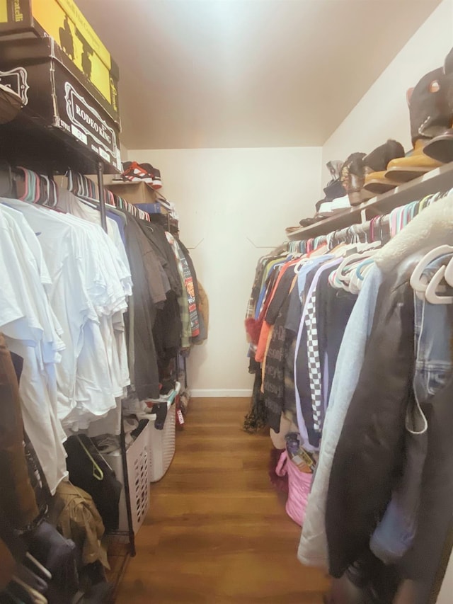 spacious closet featuring hardwood / wood-style flooring