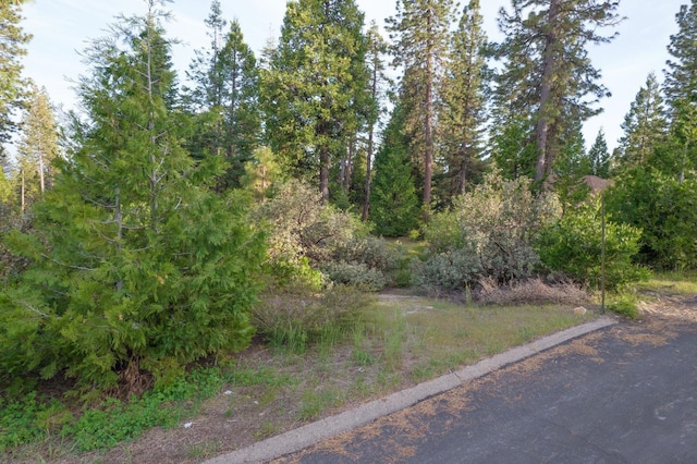 Listing photo 2 for 0 Leopard Lilly Ln, Shaver Lake CA 93664