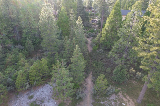 0 Leopard Lilly Ln, Shaver Lake, CA 93664 - photo 5