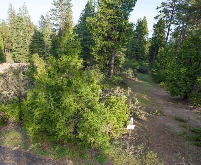 Listing photo 3 for 0 Leopard Lilly Ln, Shaver Lake CA 93664