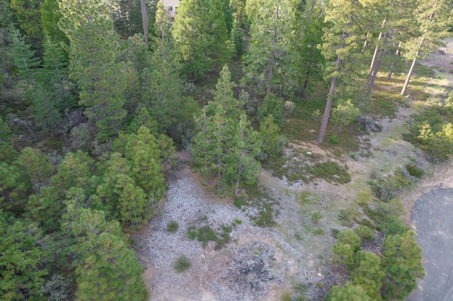 0 Leopard Lilly Ln, Shaver Lake, CA 93664 - photo 4