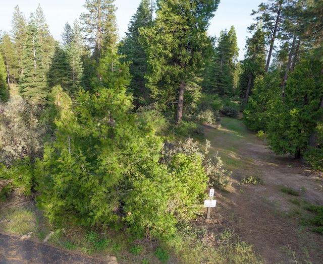 0 Leopard Lilly Ln, Shaver Lake CA, 93664 land for sale