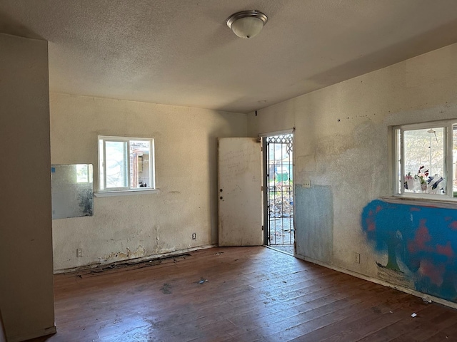 entryway featuring hardwood / wood-style floors