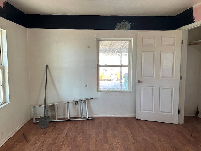 interior space with wood-type flooring