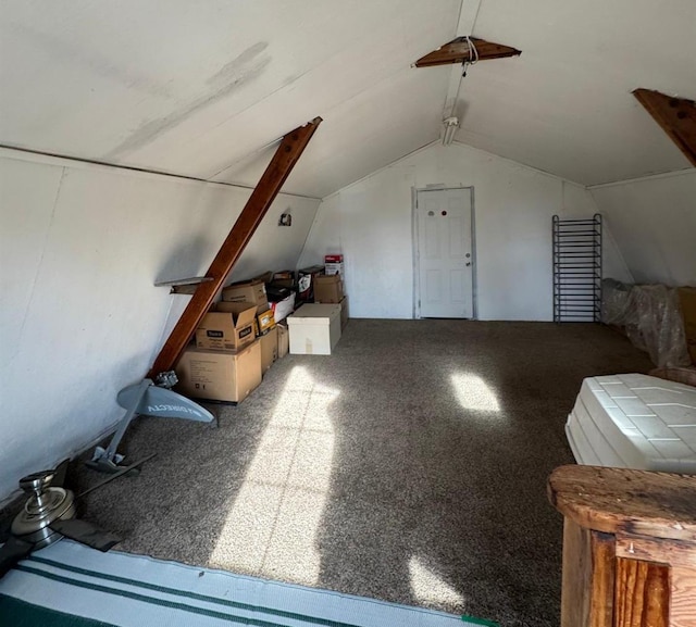 additional living space featuring carpet and vaulted ceiling