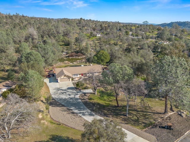 28899 Limestone Way, Coarsegold, CA 93614 - aerial view of property's location with a heavily wooded area