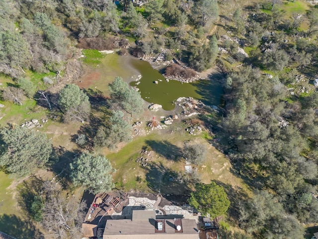 28899 Limestone Way, Coarsegold, CA 93614 - aerial view of property and surrounding area with a nearby body of water