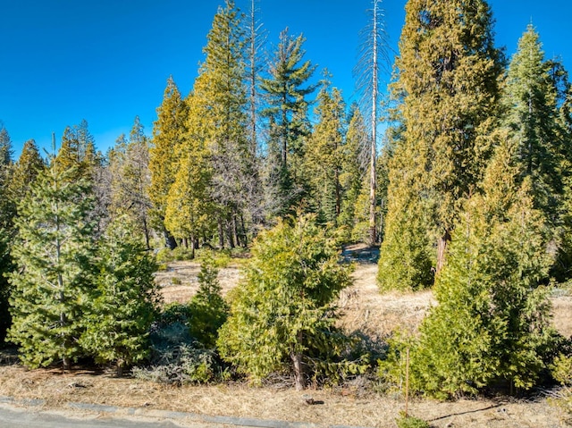 42322 Cook Cabin Ln, Shaver Lake, CA 93664 - view of landscape